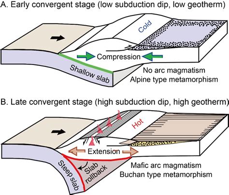 Schematic Cartoons Showing The Image Eurekalert Science News Releases