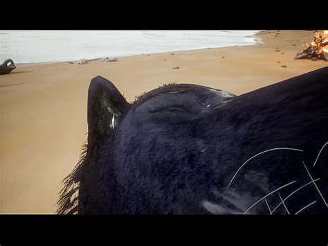 Pov Two Gay Wolves Fucking Wildlife XVIDEOS