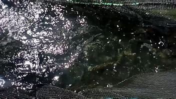 VID 20180125 094141 XVIDEOS