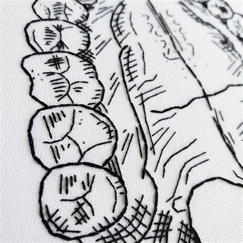 Teethjaw Anatomy Embroidery Pattern Diy Digital Download Etsy Canada