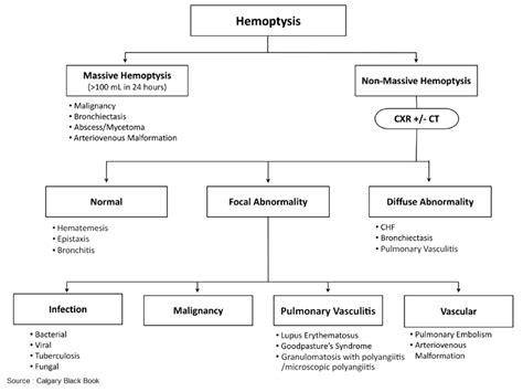 Cough And Hemoptysis Differential Diagnosis Examination And