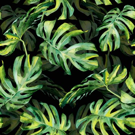 Sansibar Home Leinwandbild Tropical Leaves Von Anna Veroniq Wayfair De