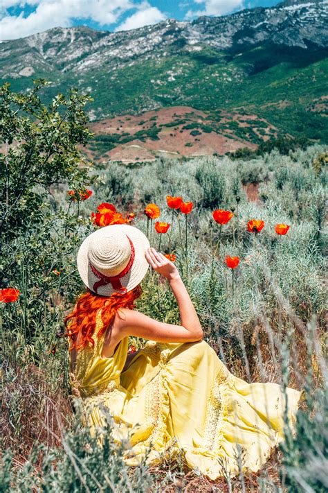 Wildflowers In Utah Poppy Fields