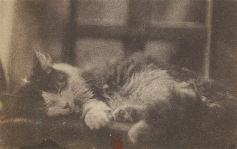 Best Victor Hugo Images On Pholder Quotes Porn Museum And History Porn