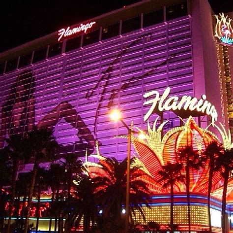 Flamingo las vegas hotel casino – Artofit
