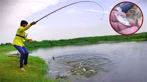 Bam Machhali Ka Shikar बाम मछली पकड़ने का तरीका Big Baam Fishing Bait