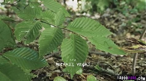 Vid Os Belles Femmes Xvideos