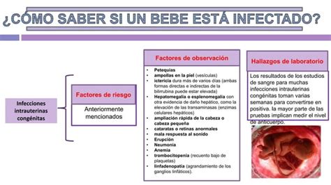 Enfermedades Infecciosas En Recien Nacidos Ppt