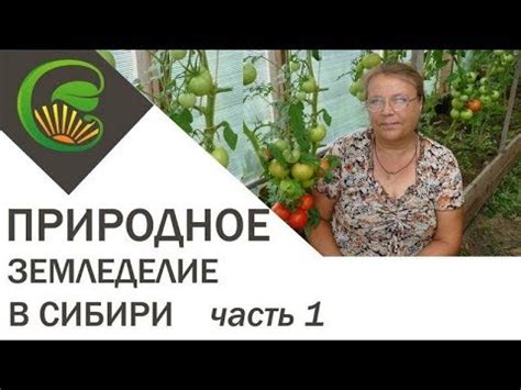 Природное земледелие в Сибири - YouTube