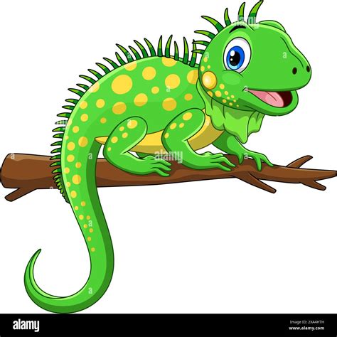 Vector Illustration Of Cute Green Iguana Cartoon Isolated On White