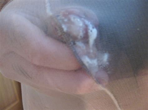 Cumshots In Pantyhose Porn Pictures XXX Photos Sex Images PICTOA