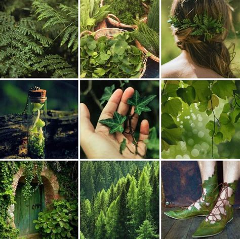 Fern The Green Fairy Moodboard Mood Board Design Mood Boards Green