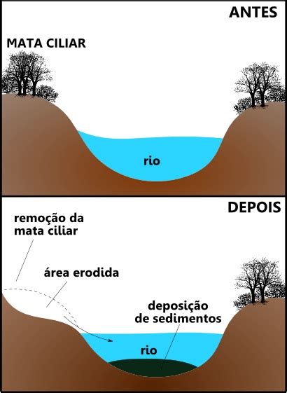 Assoreamento Processo de assoreamento de rios Mundo Educação