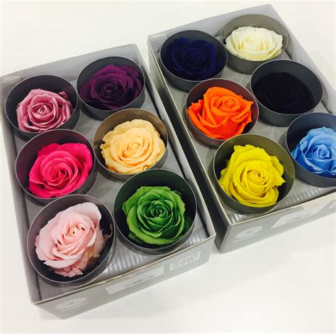 Rosas Preservadas Atrium Floristeria