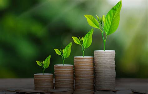 term finance lankabangla finance plc