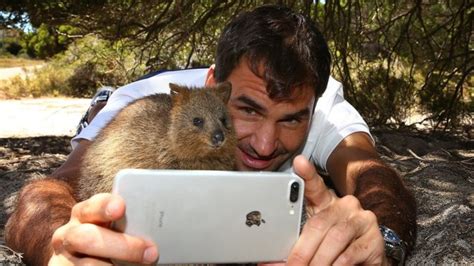 L'animale più felice del mondo, il quokka, incontra Sisifo – Lucy the ...