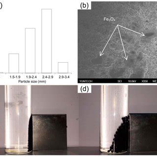 Zeta Potentials Of Naked Fe O And Nannochloropsis Oculata As A