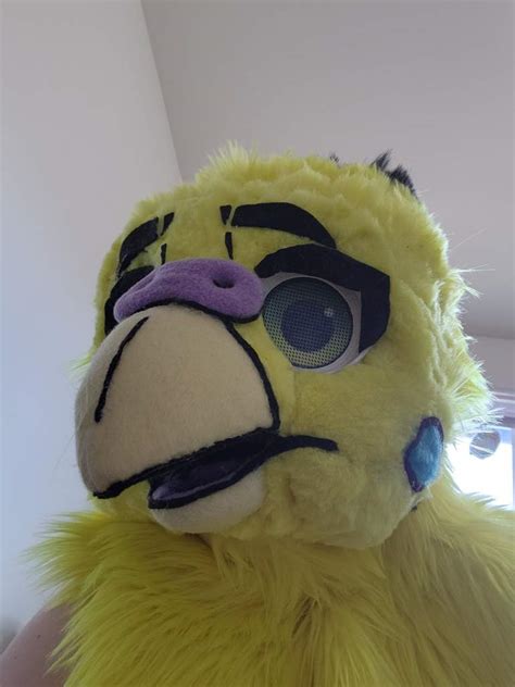 Budgie Head Done Fursuit Maker Amino Amino