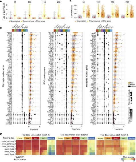 Comprehensive Characterization Of Fetal And Mature Retinal Cell Identity To Assess The Fidelity
