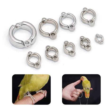 Stainless Steel Parrot Leg Ring Ankle Anklet Outdoor Flight Training