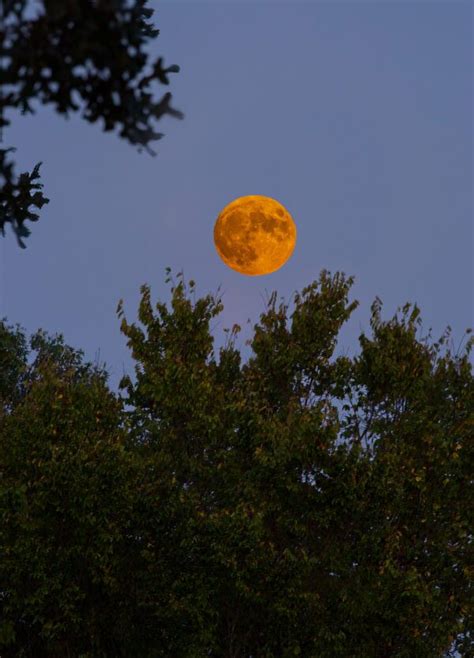 Super Harvest Moon | Show Me Nature Photography