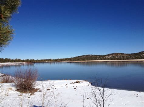 Christmas In Greer Az at Molly Nielsen blog