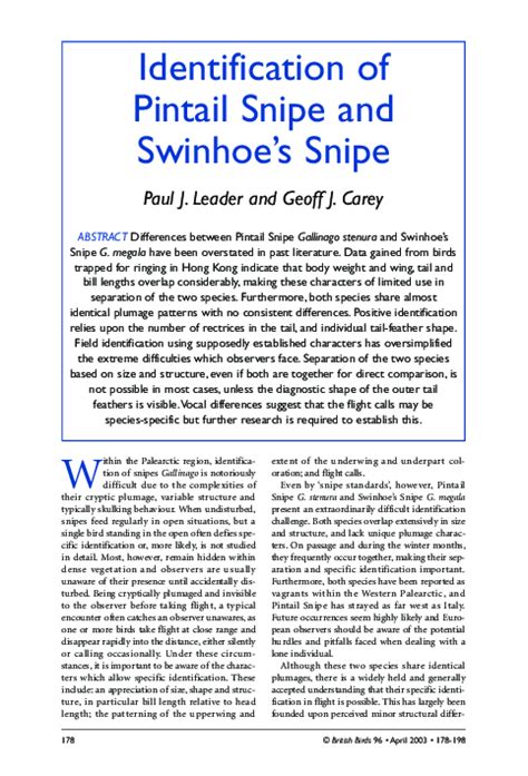 Pdf Identification Of Pintail Snipe And Swinhoes Snipe