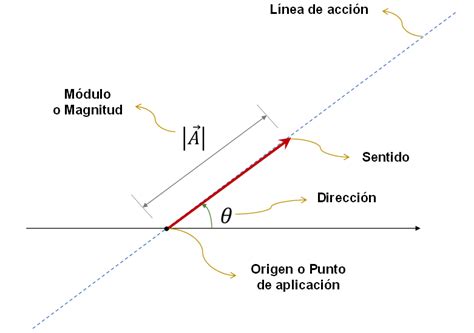 Definición De Vector En Física Elementos Tipos Y Operaciones