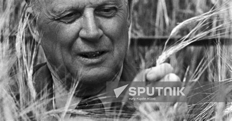 BARAYEV FIELD | Sputnik Mediabank