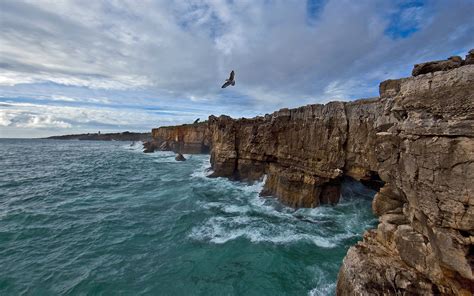 Download Cliff Sea Ocean Nature Coastline HD Wallpaper