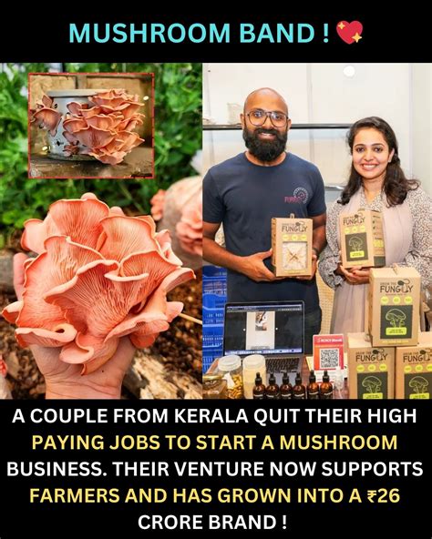Recruiters Explain How To Get Started In Mush Careers Today - RYZE Superfoods