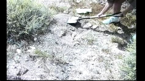 Emily Hill Porn Videos 2025 Porn Star Sex Scenes XHamster