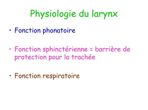 Anatomie Physiologie De Lappareil Respiratoire Ppt