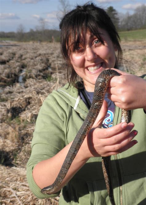 Why Are We Afraid of Snakes and How Do We Overcome That Fear? - The