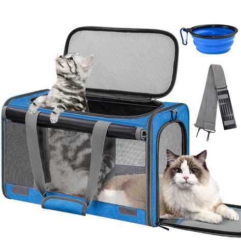 best carriers for cats 5
