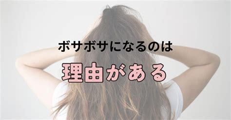 【湿気でボサボサは終わり】ストレートな髪の毛を維持する対策とは？｜ヘアケア