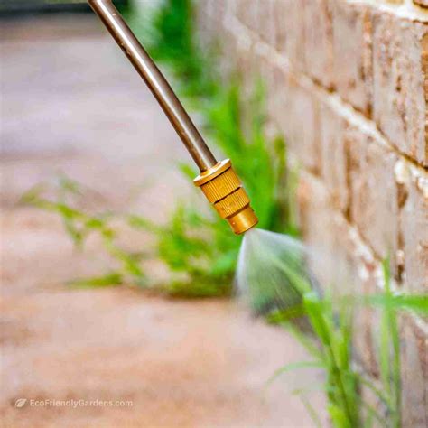 weed killer for flower gardens