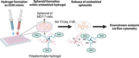 Electrostatic Assembly Of Multiarm PEG Based Hydrogels As Extracellular