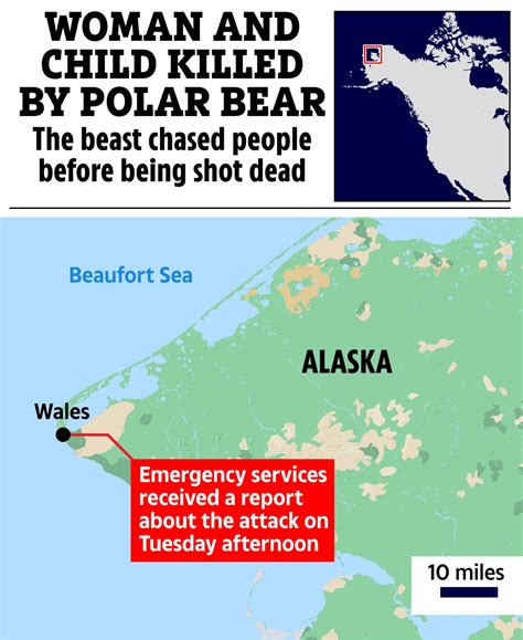 Polar bear mauls boy and a woman to death after rampage through Alaska ...