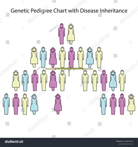Genetic Pedigree Chart Showing Disease Inheritance Stock Vector