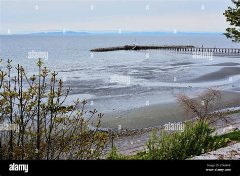 White Rock Pier Hi Res Stock Photography And Images Alamy