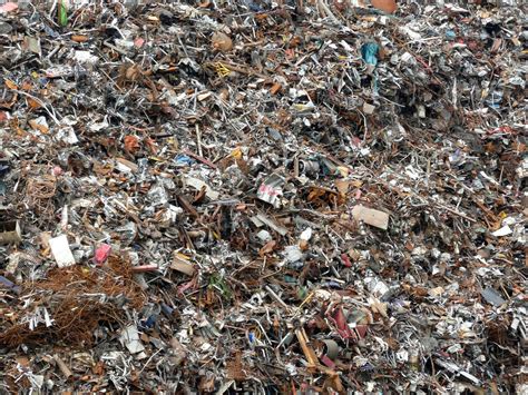 scrap   photo  freeimages