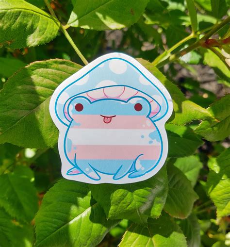 Pride Frog Charity Stickers LGBTQ Flag Frog Gay Pride Etsy