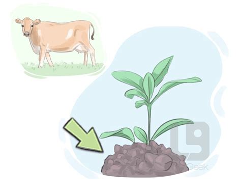 Definition And Meaning Of Manure Picture Dictionary