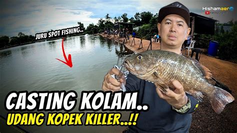 Mancing Ikan Kolam Air Masin 2022 Lagi Juru Spot Fishing YouTube