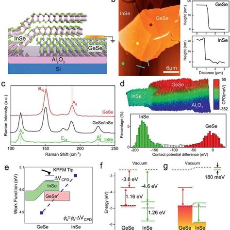 A Schematic Illustration Of The InSe GeSe Heterostructure B AFM Image