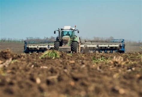 В Україні оновили ціну гектара землі – скільки тепер коштує пай у ...