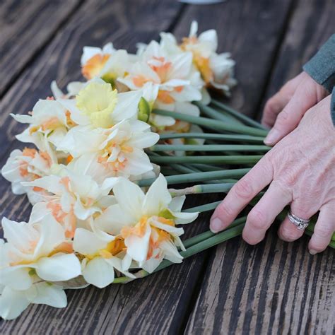 About — Firmly Rooted Flower Farm