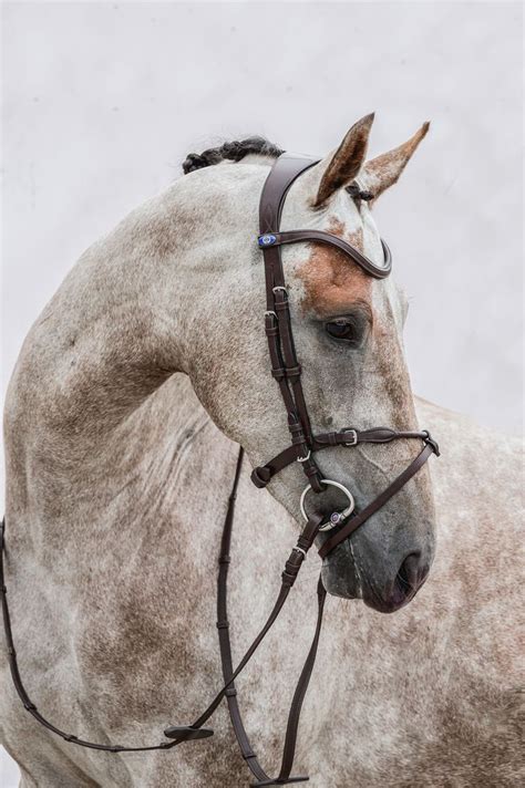 Henrik Von Eckermann • Brown Leather • Ps Of Sweden Anatomical Bridle