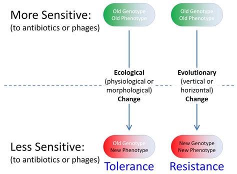 Antibiotics Free Full Text Ecology And Evolutionary Biology Of